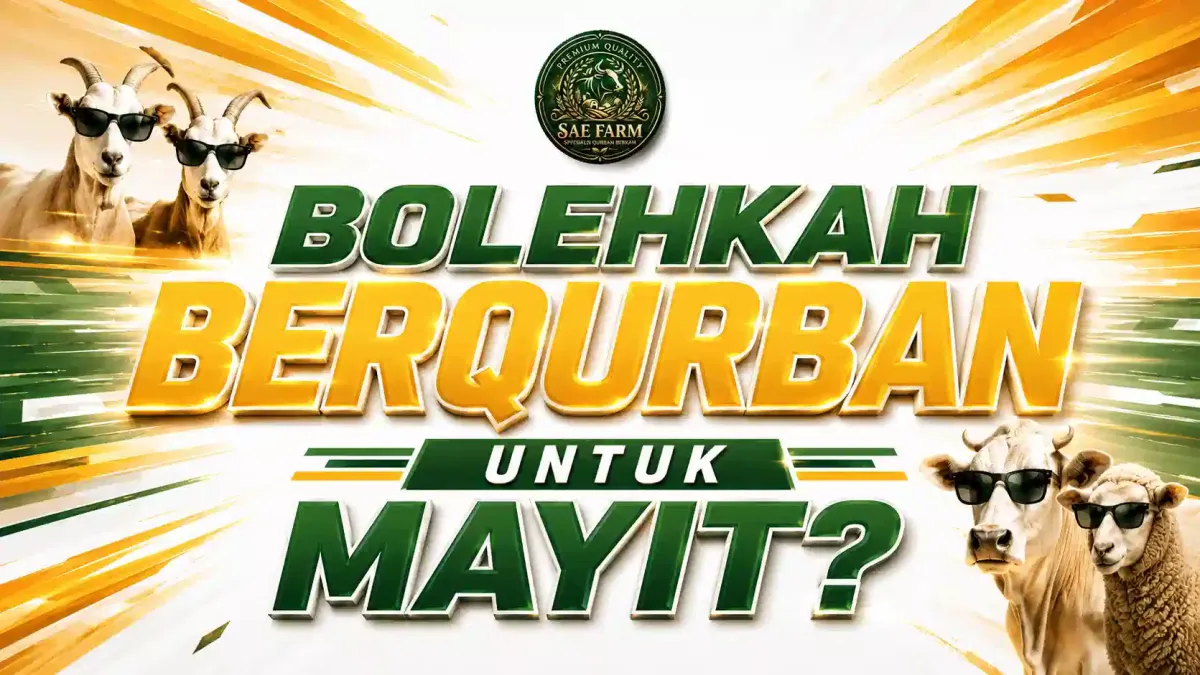 Bolehkah Berqurban untuk Mayit? Ini Penjelasan Para Ulama Berdasarkan Dalil Syariat